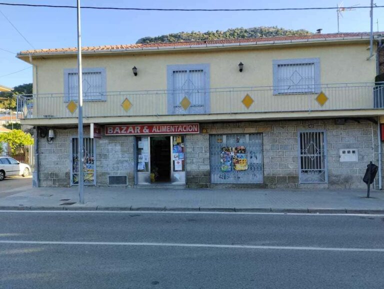 Bazar Alimentación chino zarzalejo