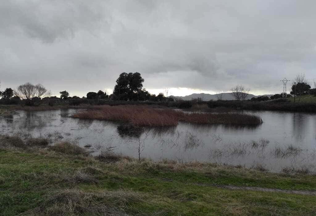 Las Lagunas del Castrejón