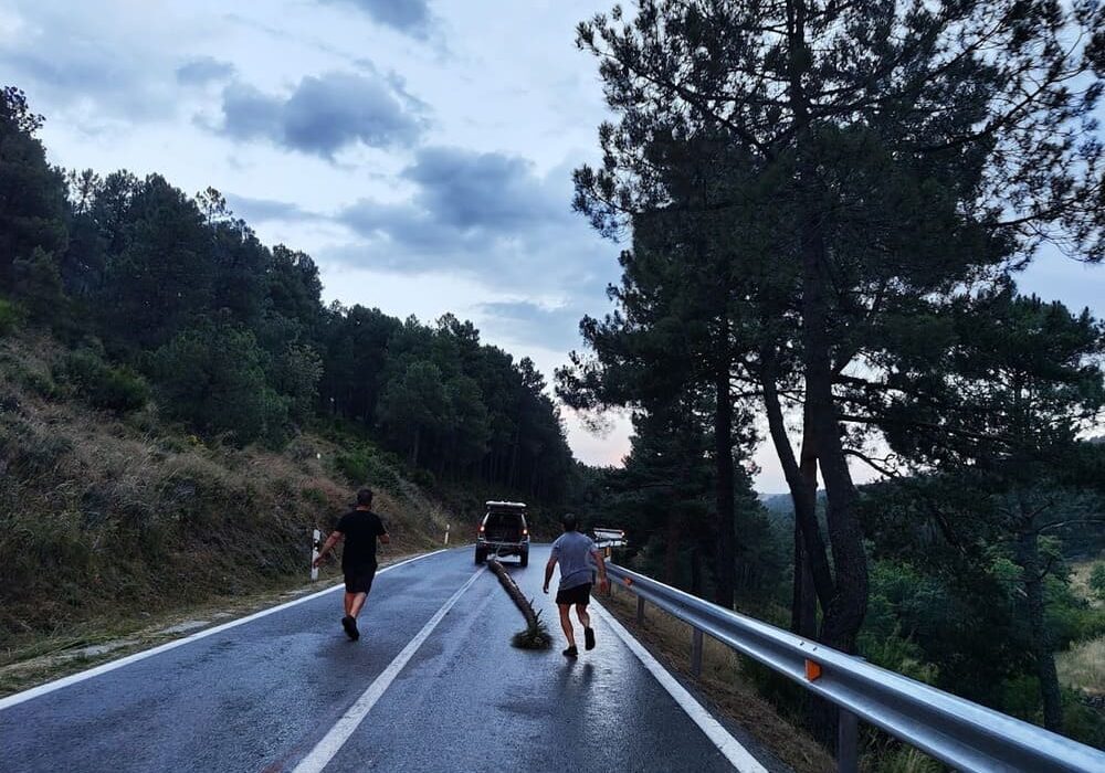 Llevando el Árbol de San Pedro de Zarzalejo