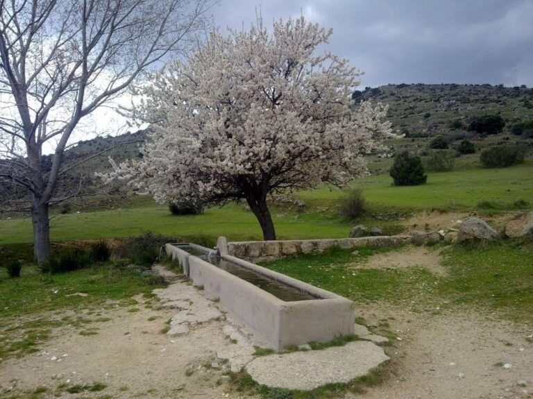 Fuente caño de las Hoyas Zarzalejo